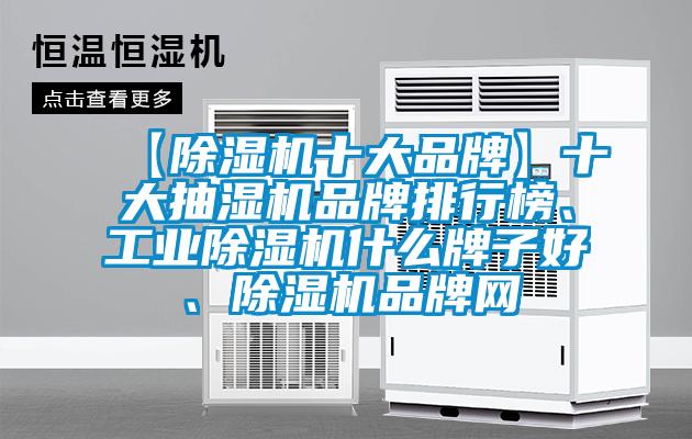 【麻豆视频黄网站十大品牌】十大抽湿机品牌排行榜、工业麻豆视频黄网站什么牌子好、麻豆视频黄网站品牌网