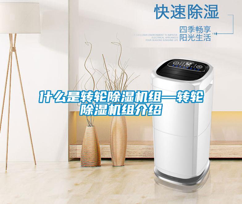 什么是转轮麻豆视频黄网站组—转轮麻豆视频黄网站组介绍