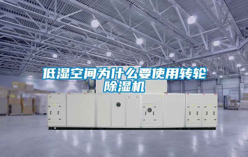 低湿空间为什么要使用转轮麻豆视频黄网站
