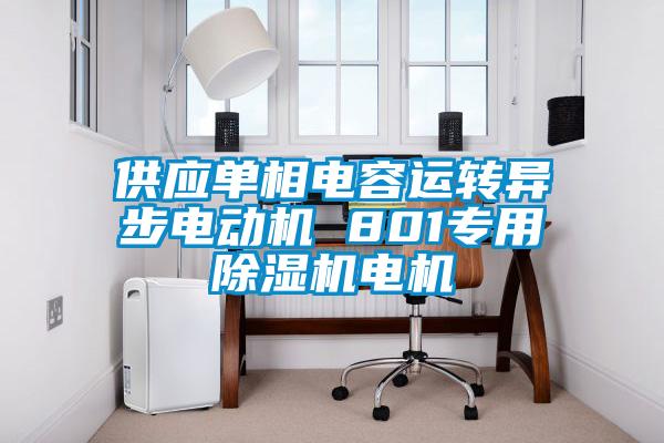 供应单相电容运转异步电动机 801专用麻豆视频黄网站电机