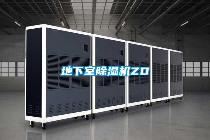 地下室麻豆视频黄网站ZD