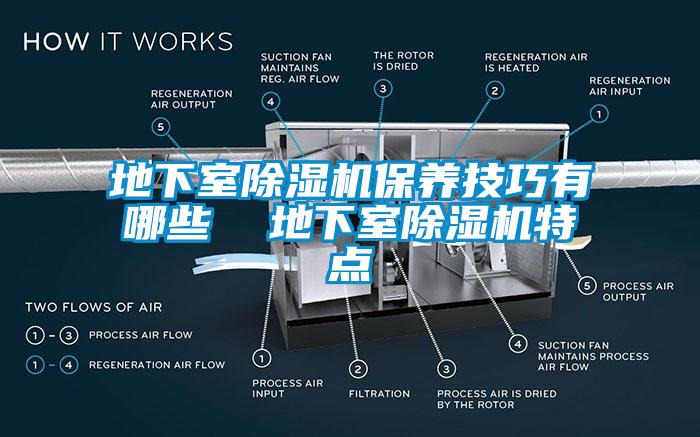 地下室麻豆视频黄网站保养技巧有哪些  地下室麻豆视频黄网站特点