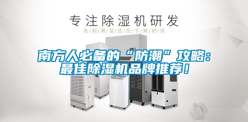 南方人必备的“防潮”攻略：最佳麻豆视频黄网站品牌推荐！