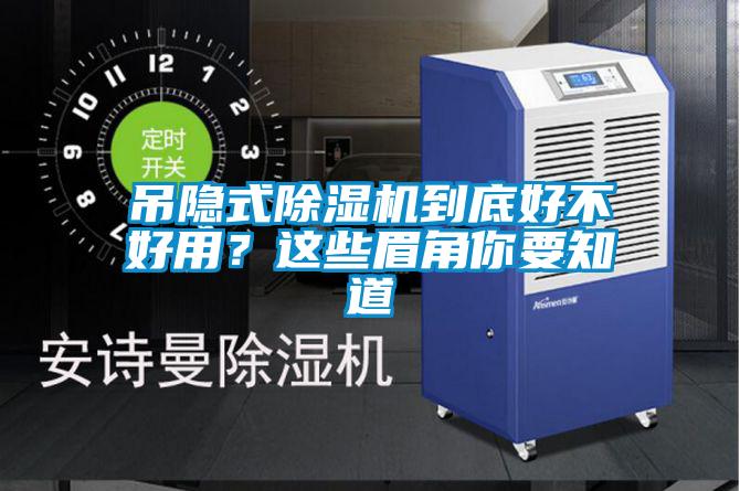 吊隐式麻豆视频黄网站到底好不好用？这些眉角你要知道