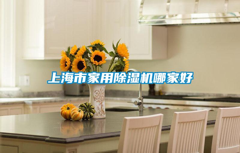 上海市家用麻豆视频黄网站哪家好