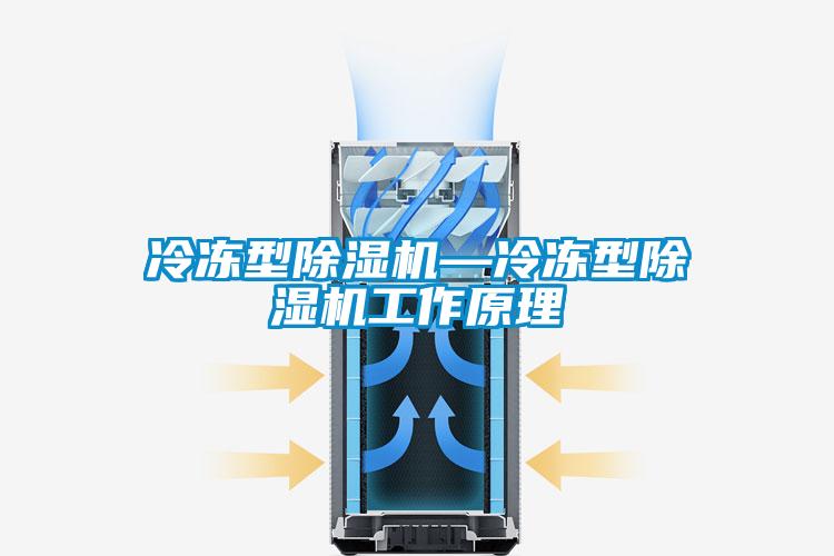 冷冻型麻豆视频黄网站—冷冻型麻豆视频黄网站工作原理
