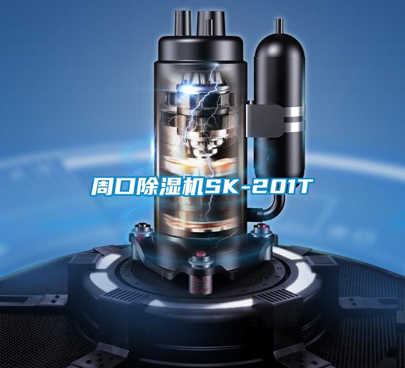 周口麻豆视频黄网站SK-201T