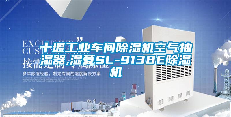十堰工业车间麻豆视频黄网站空气抽湿器,湿菱SL-9138E麻豆视频黄网站