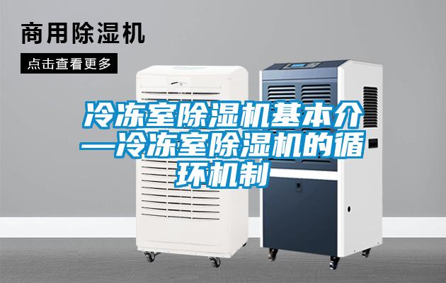 冷冻室麻豆视频黄网站基本介—冷冻室麻豆视频黄网站的循环机制