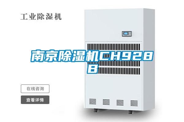 南京麻豆视频黄网站CH928B