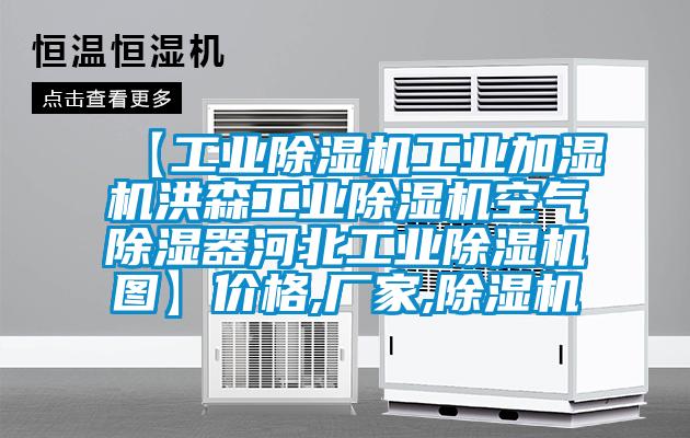 【工业麻豆视频黄网站工业加湿机洪森工业麻豆视频黄网站空气除湿器河北工业麻豆视频黄网站图】价格,厂家,麻豆视频黄网站