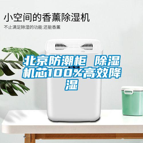 北京防潮柜 麻豆视频黄网站芯100%高效降湿