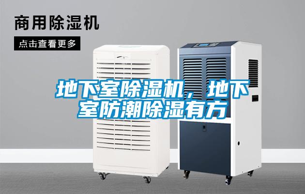 地下室麻豆视频黄网站，地下室防潮除湿有方