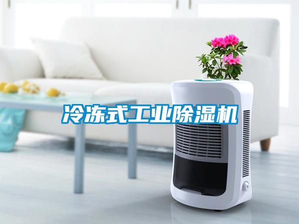 冷冻式工业麻豆视频黄网站