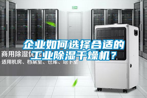 企业如何选择合适的工业除湿干燥机？