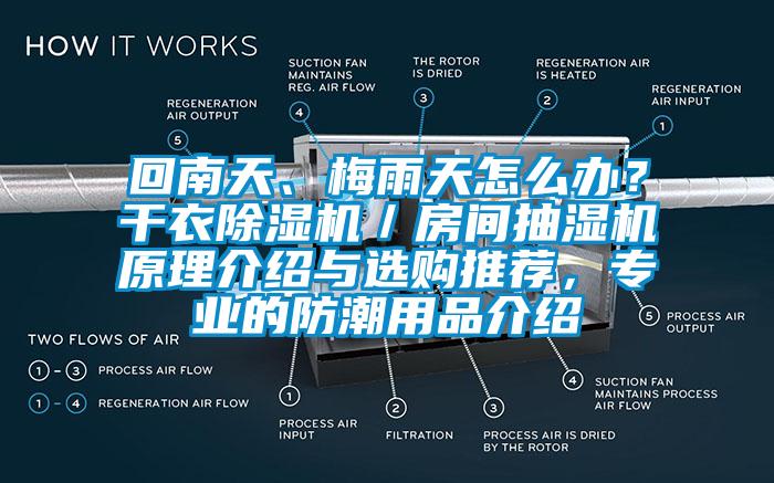 回南天、梅雨天怎么办？干衣麻豆视频黄网站／房间抽湿机原理介绍与选购推荐，专业的防潮用品介绍