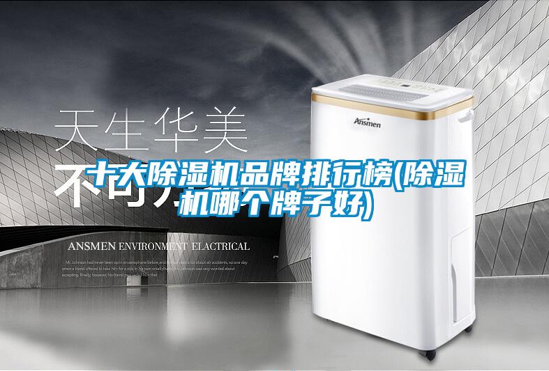 十大麻豆视频黄网站品牌排行榜(麻豆视频黄网站哪个牌子好)