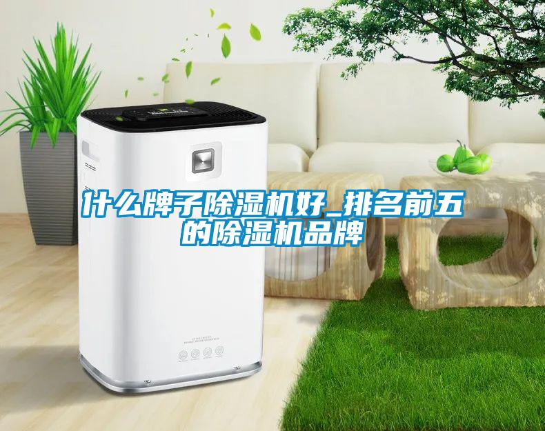 什么牌子麻豆视频黄网站好_排名前五的麻豆视频黄网站品牌
