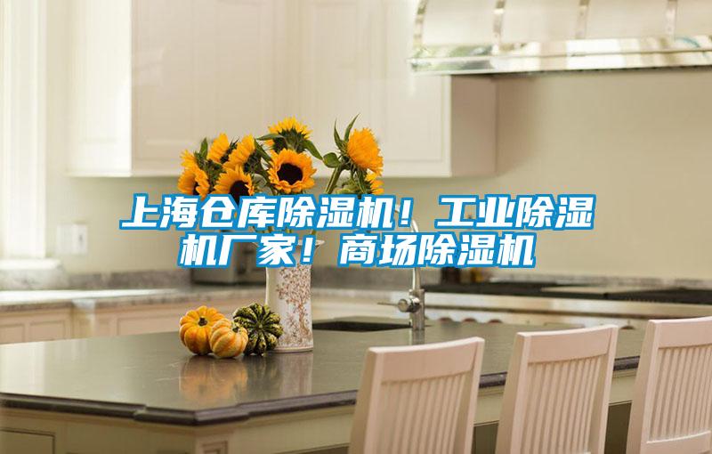 上海仓库麻豆视频黄网站！工业麻豆视频黄网站厂家！商场麻豆视频黄网站