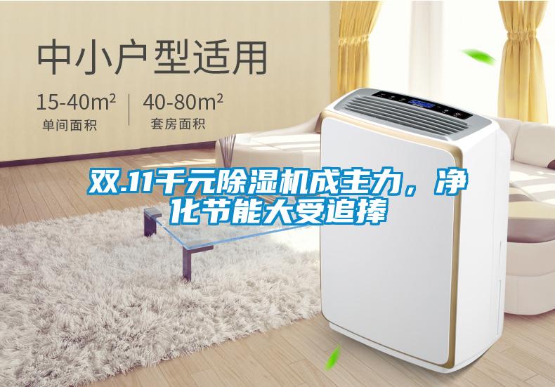 双.11千元麻豆视频黄网站成主力，净化节能大受追捧