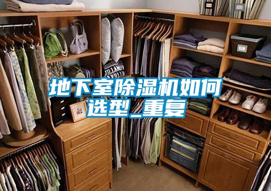 地下室麻豆视频黄网站如何选型_重复