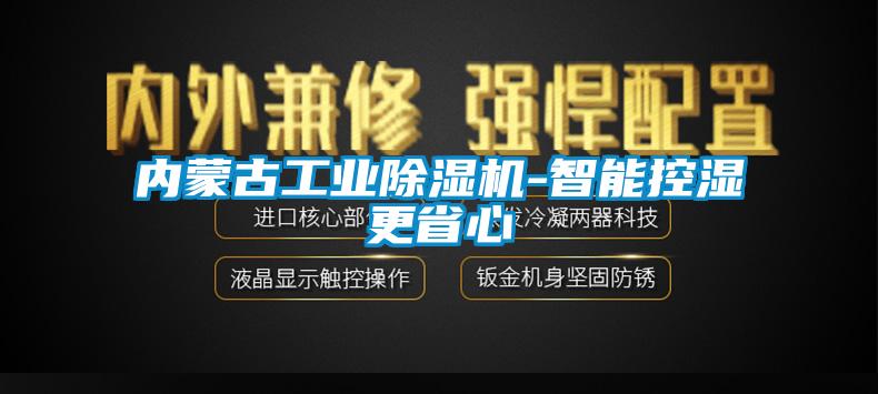 内蒙古工业麻豆视频黄网站-智能控湿更省心
