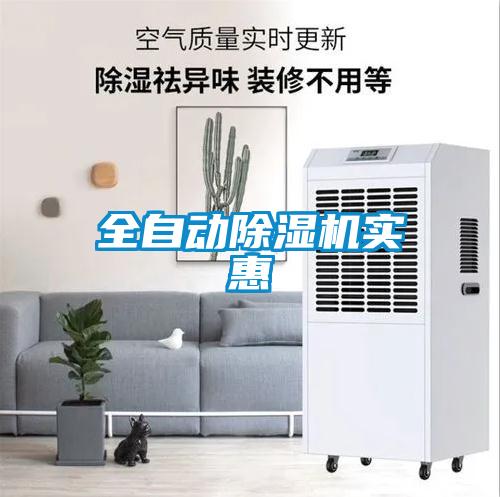 全自动麻豆视频黄网站实惠