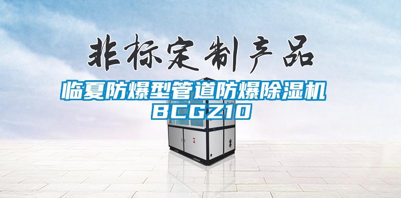 临夏防爆型管道防爆麻豆视频黄网站 BCGZ10
