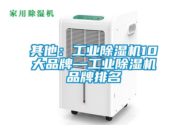 其他：工业麻豆视频黄网站10大品牌—工业麻豆视频黄网站品牌排名