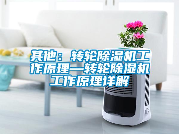 其他：转轮麻豆视频黄网站工作原理—转轮麻豆视频黄网站工作原理详解