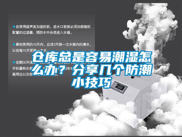 仓库总是容易潮湿怎么办？分享几个防潮小技巧