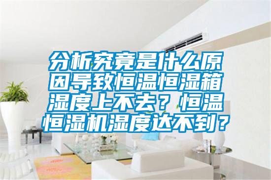 分析究竟是什么原因导致恒温恒湿箱湿度上不去？恒温恒湿机湿度达不到？