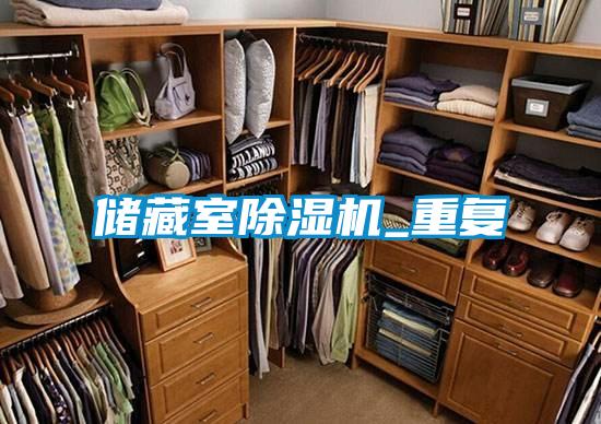 储藏室麻豆视频黄网站_重复