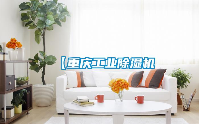 【重庆工业麻豆视频黄网站