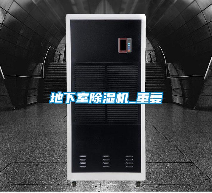 地下室麻豆视频黄网站_重复