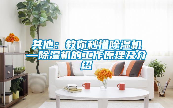 其他：教你秒懂麻豆视频黄网站—麻豆视频黄网站的工作原理及介绍