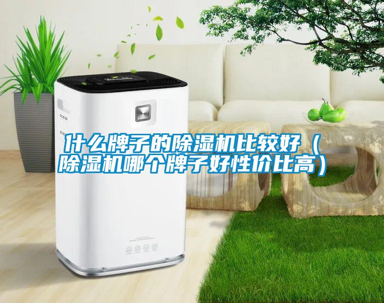 什么牌子的麻豆视频黄网站比较好（麻豆视频黄网站哪个牌子好性价比高）