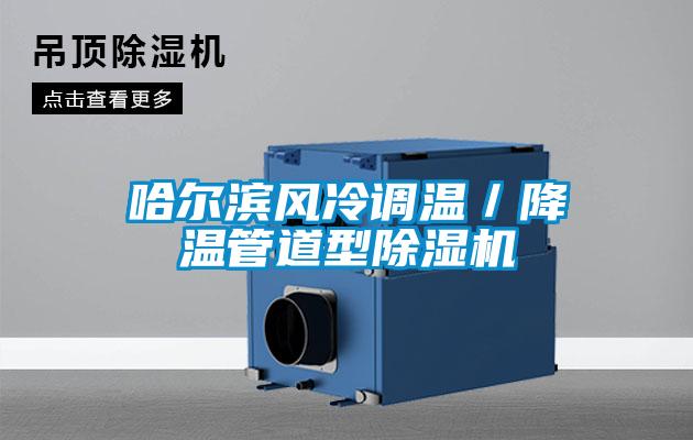 哈尔滨风冷调温／降温管道型麻豆视频黄网站