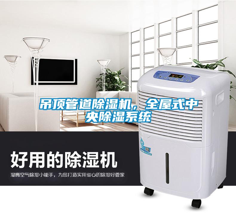吊顶管道麻豆视频黄网站，全屋式中央除湿系统
