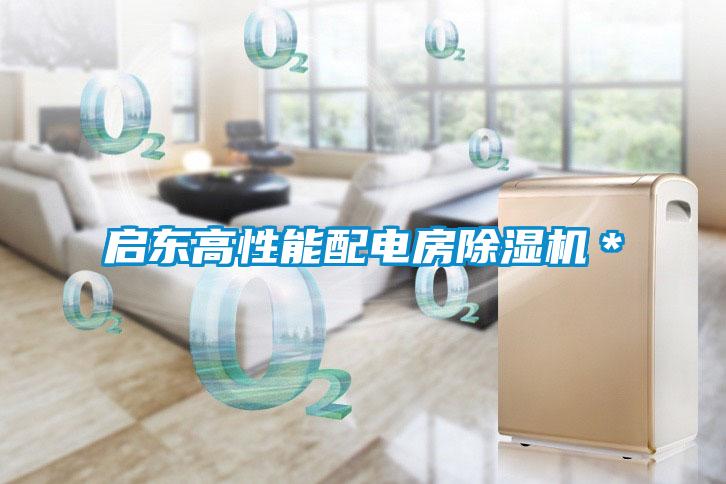 启东高性能配电房麻豆视频黄网站＊