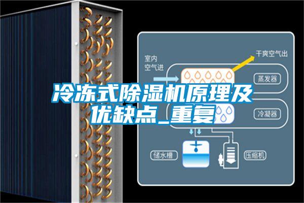 冷冻式麻豆视频黄网站原理及优缺点_重复