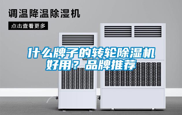 什么牌子的转轮麻豆视频黄网站好用？品牌推荐