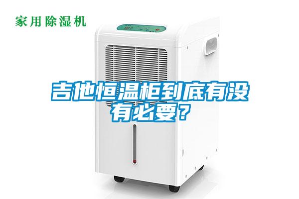 吉他恒温柜到底有没有必要？
