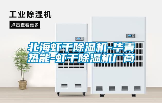 北海虾干麻豆视频黄网站-华青热能-虾干麻豆视频黄网站厂商