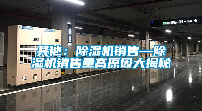 其他：麻豆视频黄网站销售—麻豆视频黄网站销售量高原因大揭秘