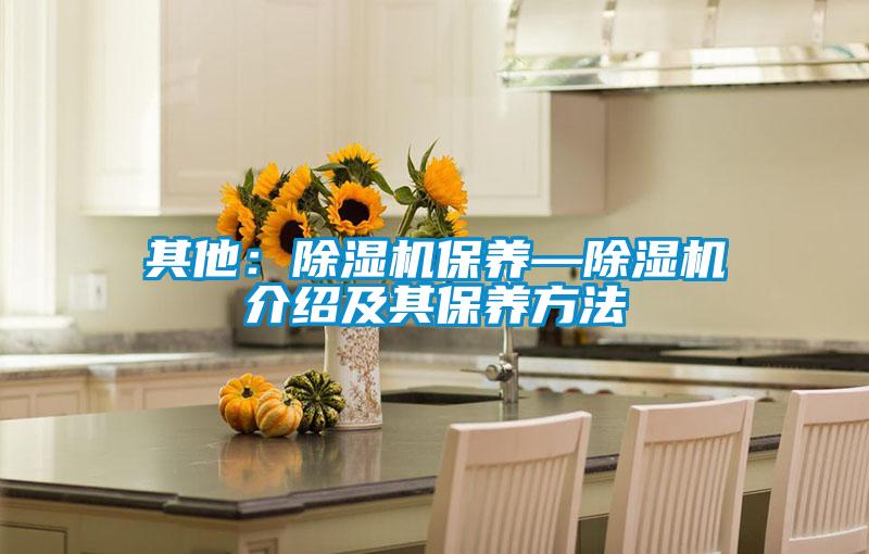 其他：麻豆视频黄网站保养—麻豆视频黄网站介绍及其保养方法