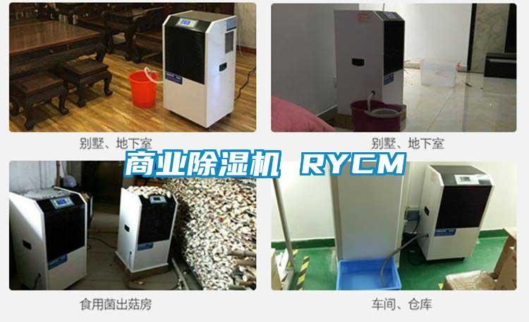 商业麻豆视频黄网站 RYCM