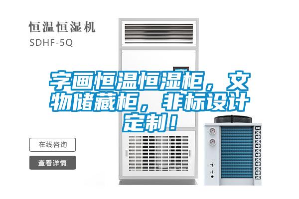 字画恒温恒湿柜，文物储藏柜，非标设计定制！