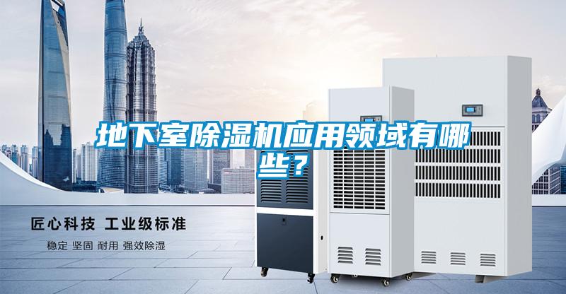 地下室麻豆视频黄网站应用领域有哪些？