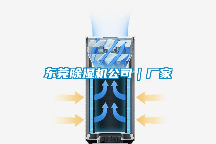 东莞麻豆视频黄网站公司｜厂家